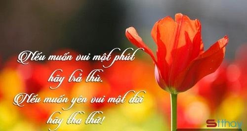 Những status động viên an ủi khi chúng ta thất vọng