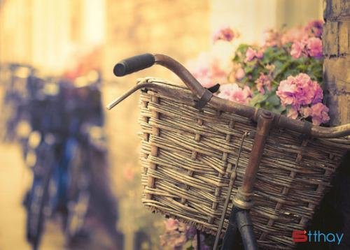 Những status mang tâm trạng  xao xuyến khi gió mùa về 