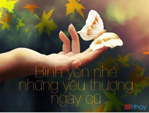 Những stt chúc người yêu cũ hạnh phúc, chúc anh bên người vui vẻ, an yên