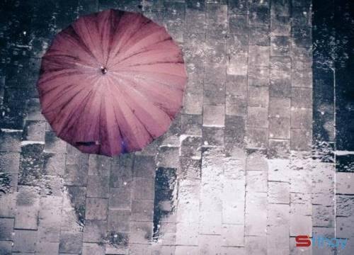 Những stt sâu lắng đầy ý nghĩa cho bạn ngày mưa