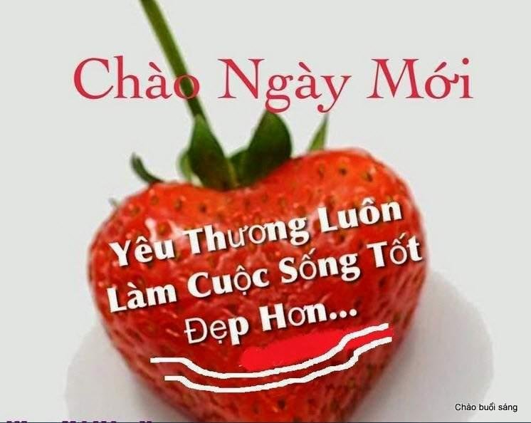 Những thông điệp chào ngày mới mang lại sự gắn kết yêu thương