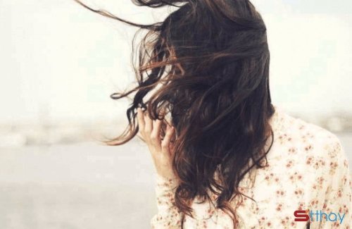 STT Gió lạnh đầu mùa cho những ngày cận kề đông sang