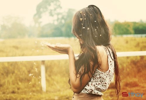 STT Hãy cho em một phút được yếu lòng