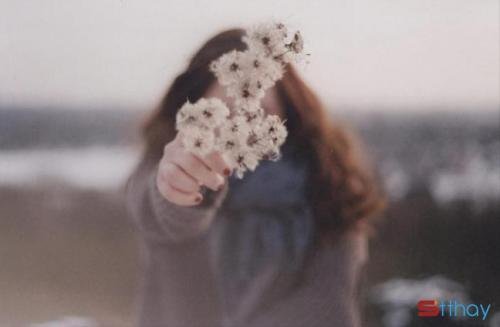 STT Tháng Tư tiếng ai đó cười tươi dưới màu nắng dịu dàng tràn qua kẽ lá