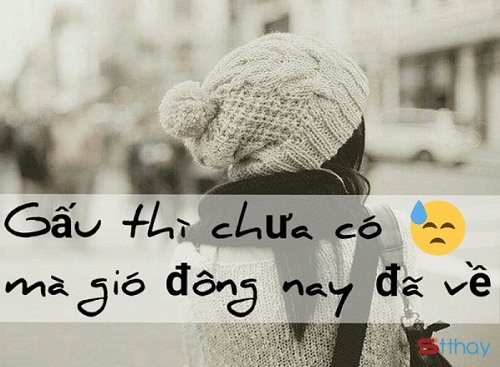 STT cô đơn khi năm nay tôi vẫn vậy, vẫn một mình lặng lẽ chống chọi với mùa đông
