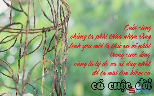 STT đến một thời điểm nào đó, tình yêu cũng trở thành thứ xa xỉ