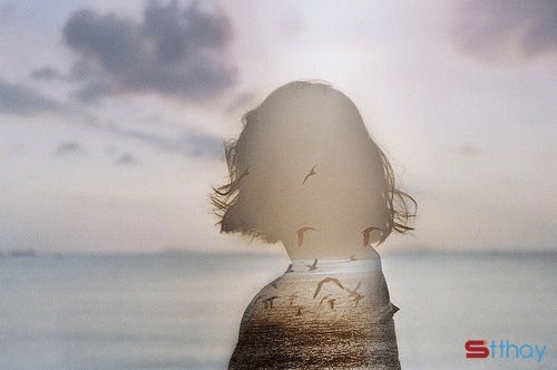 STT đến một thời điểm nào đó, tình yêu cũng trở thành thứ xa xỉ