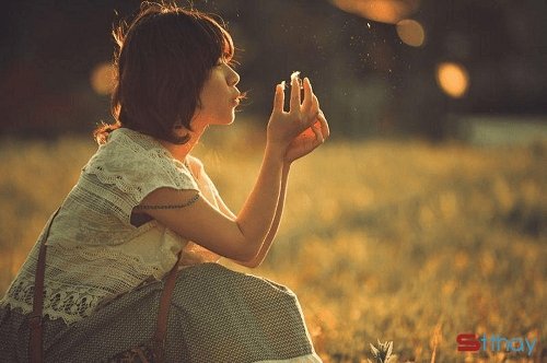 STT đôi khi, im lặng chưa hẳn là hết yêu