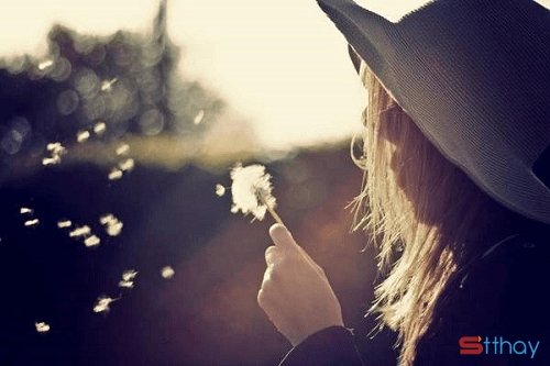 STT dù ở lại hay ra đi thì con tim em cũng đã rỉ máu và tổn thương