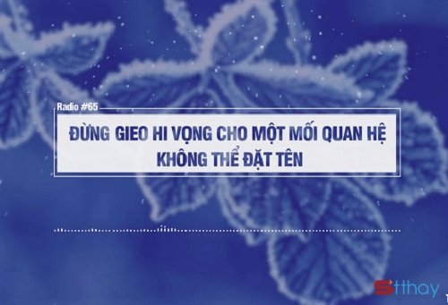 STT đừng gieo hi vọng rồi lại dập tắt yêu thương
