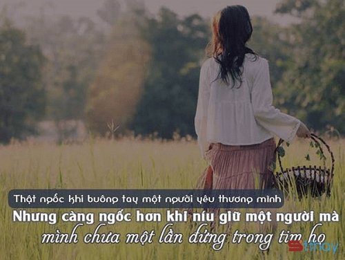 STT gạt dòng nước mắt em chấp nhận buông tay, anh hãy đi con đường anh chọn