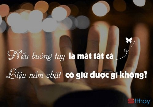 STT gạt dòng nước mắt em chấp nhận buông tay, anh hãy đi con đường anh chọn