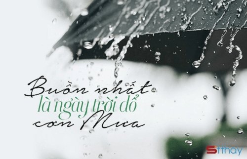 STT mưa là lúc ta được sống thật với cảm xúc của bản thân