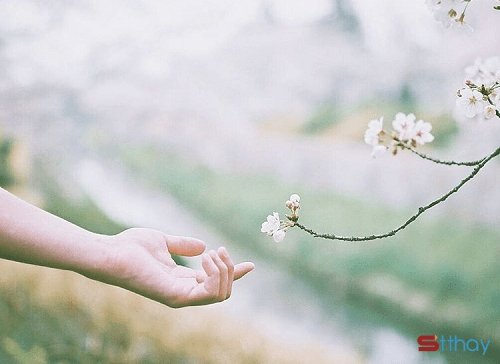 STT nhìn lại một năm trôi qua mà lòng buồn rười rượi