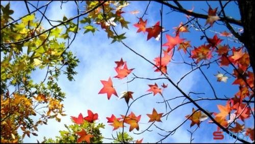 STT tháng 10 cùng những cảm xúc yên bình