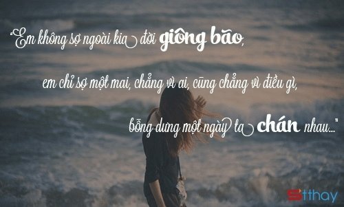 STT xin lỗi, em không còn yêu anh nữa