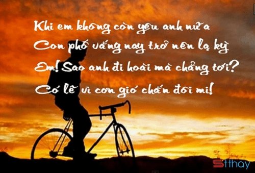 STT xin lỗi, em không còn yêu anh nữa