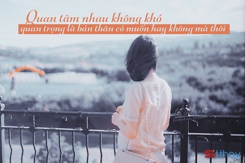 STT xin lỗi, em không còn yêu anh nữa