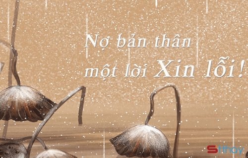 STT xin lỗi bản thân vì ta chưa học cách yêu lấy mình