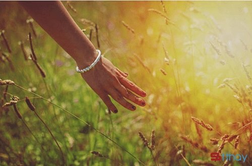 STT xin lỗi bản thân vì ta chưa học cách yêu lấy mình