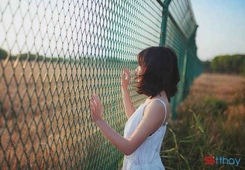 STT yêu là phải hạnh phúc, không hạnh phúc đừng yêu