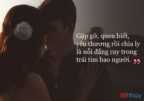 STT yêu sai người chẳng ngại buông tay