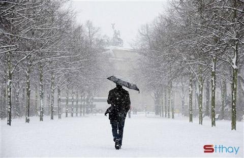 Mùa đông sang, mùa cô đơn đến, em co ro trong cái lạnh đất trời. Bàn tay đưa ra, chẳng được ủ ấm mà chỉ nhận được cái nắm tay lạnh toát của trời đông. Trí nhớ sực tỉnh rằng mình đã lạc mất nhau tự bao giờ, em đi tìm anh giữa những dòng người đông đúc mỗi ngày.