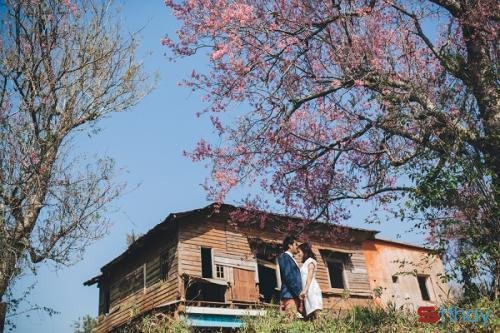 Status cảm xúc Tôi yêu lắm những khoảnh khắc tháng 3, còn bạn ? bạn có yêu tháng 3 không ?Status cảm xúc Tôi yêu lắm những khoảnh khắc tháng 3, còn bạn ? bạn có yêu tháng 3 không ?