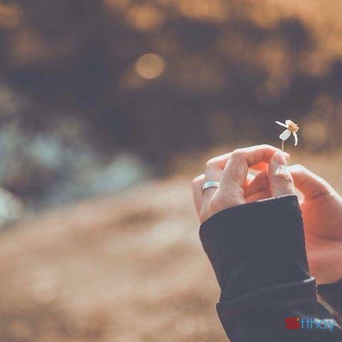 Status chân thành Là phụ nữ, dù không thể thành công, cũng đừng là người phụ nữ thất bại!