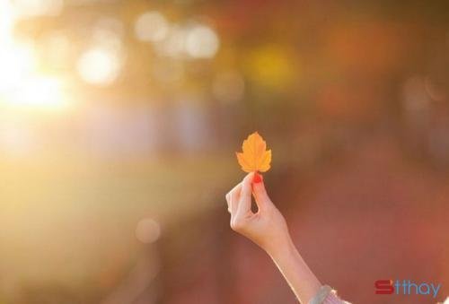 Status chào tháng 8 yêu thương về trong đôi mắt trong trẻo của em