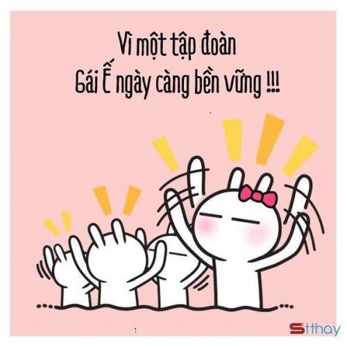 Status hài hước - Nhật ký tết của gái ế