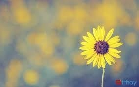 Khi còn nhỏ, cố gắng trở thành người này, người kia thật khó. Bây giờ nhận thấy cố gắng trở thành chính mình mới là chuyện không hề dễ dàng. 24 tuổi đầu óc vẫn bay bổng, mơ mộng như 1 đứa trẻ chưa chịu lớn, cố gắng tìm kiếm cho mình 1 định hướng, 1 ước mơ, 1 đam mê. Nhưng rồi sao, ngay cả việc mình thích gì, muốn làm gì và trở thành người như thế nào đến bây giờ vẫn là những câu hỏi thì bảo sao mình chưa làm được cái gì.