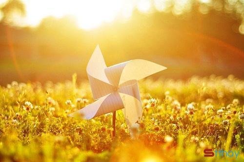 Status hay Chào em những vạt nắng tháng Năm!