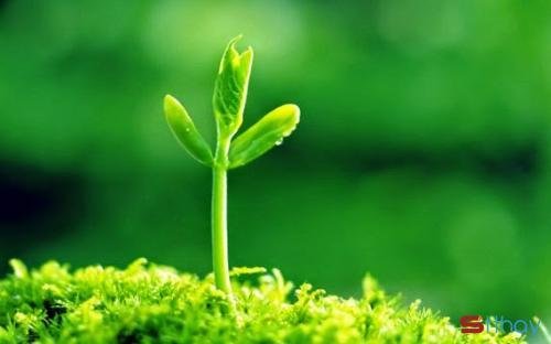 Status hay Lớn lên bạn sẽ biết buồn sau những vấp ngã, đứng lên sau những nỗi đau