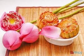 Status hay Thu về có gió và nắng hanh hao, có những màu hoa lung linh khoe hương sắc