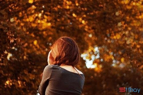 Status hay Thu về có gió và nắng hanh hao, có những màu hoa lung linh khoe hương sắc