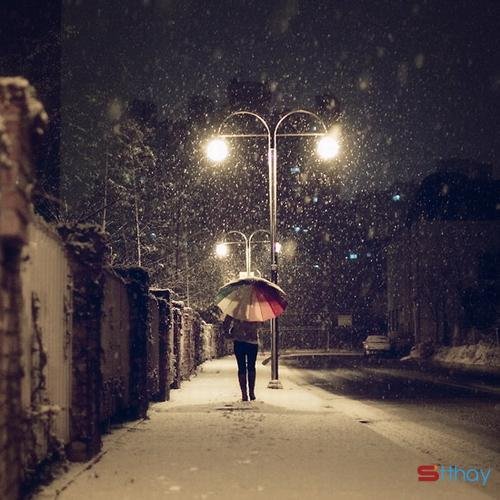Status hay dành cho người cô đơn giữa mùa đông lạnh giá
