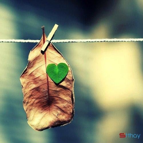 Status tâm trạng Ta có thể tha thứ cho người, vậy sao không thể bao dung với bản thân một lần?