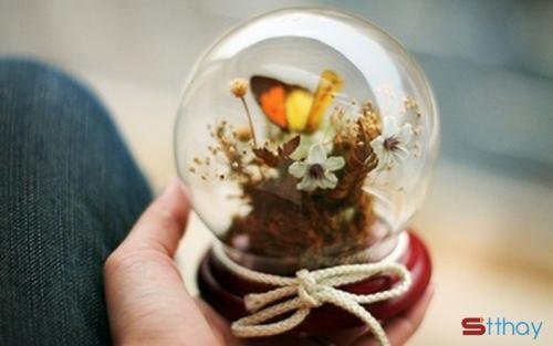 Status tâm trạng Ta có thể tha thứ cho người, vậy sao không thể bao dung với bản thân một lần?