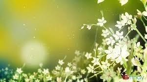 Status tháng 7 Khởi đầu tháng bảy như trang giấy trắng theo thời gian được cái nắng làm vàng úa