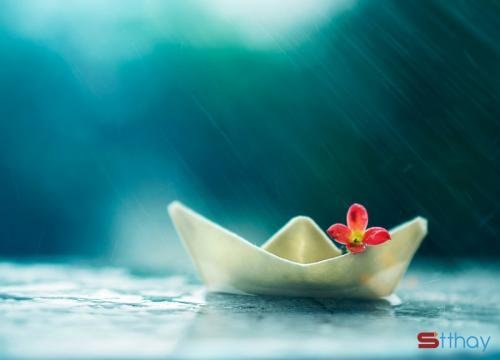 Status tháng 3 gõ cửa ta khẽ lắng nghe nhịp đập của trái tim