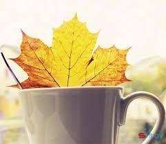 Status tháng 8 mùa thu hay, ý nghĩa làm tâm hồn xao động