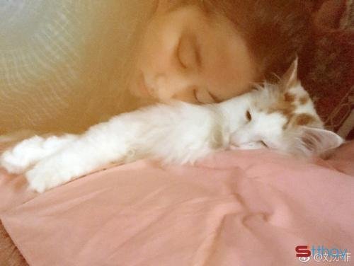 Status tình yêu Khi đã hết yêu thương, hãy chia tay một cách tử tế