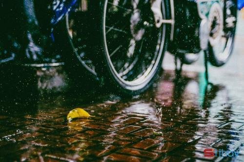 Status về cơn mưa đầu mùa khiến trái tim ai thổn thức những hoài niệm