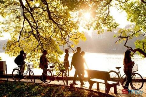 Status viết cho mùa thu Hoa sữa là loài hoa của luyến lưu