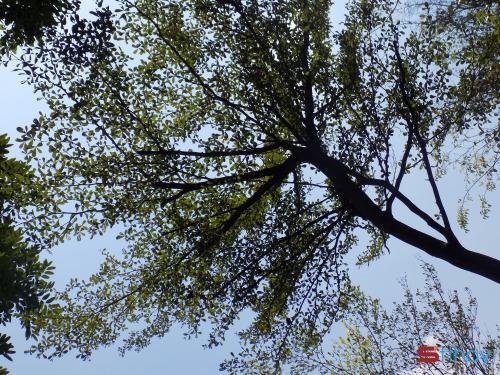 Status yêu đời Niềm vui là món quà vô giá mà cuộc sống mang lại cho mỗi người chúng ta