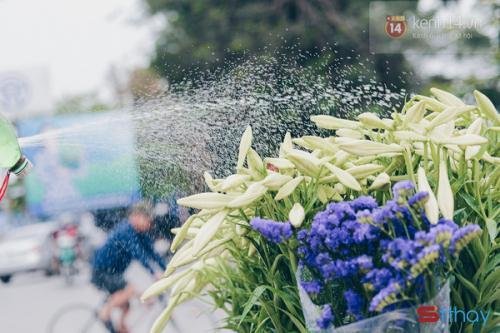 Status yêu thương Tháng 4 vừa đến mang theo mùa loa kèn trắng tinh khôi