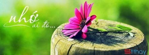 Status yêu thương Tháng tư về với nỗi nhớ xanh xao, mưa tháng tư giấu những yêu thương vào nỗi nhớ