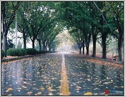 Stt Tháng 6 về với những cơn mưa bất chợt