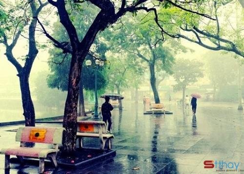 Stt cảm xúc về mưa lạnh mùa đông khiến lòng người trống trải và thênh thang